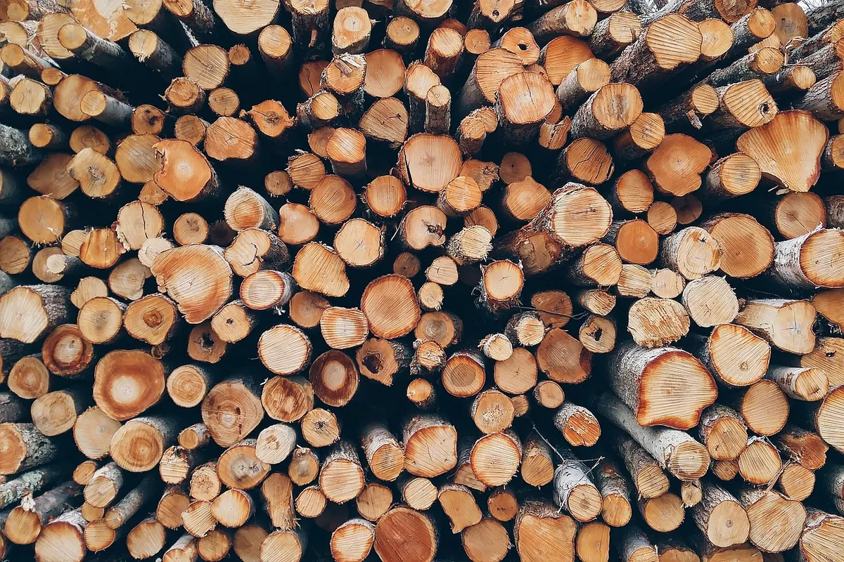 Sourcing Local Maple Lumber: Questions to Ask a Small Sawmill